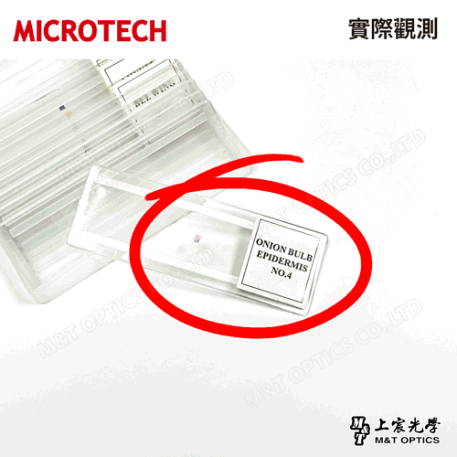 MICROTECH 10-piece set-safe sectioning specimen set-with storage box