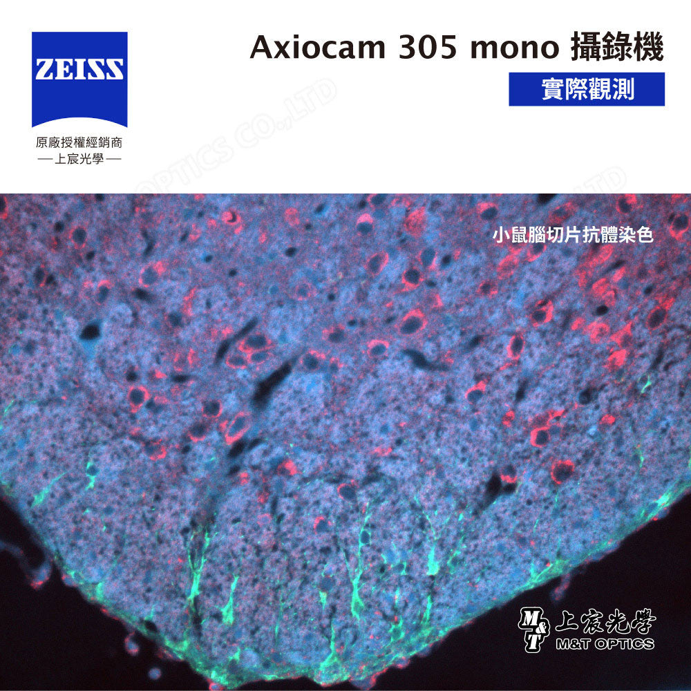 ZEISS 蔡司 Axiocam 305 mono 蔡司顯微攝影系統 (公司貨)