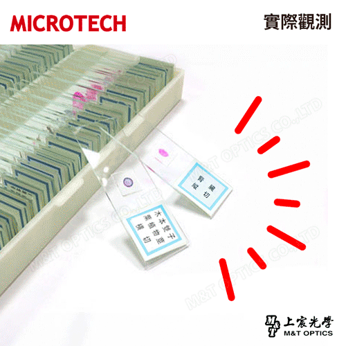 MICROTECH 100 pieces-biological biopsy specimen set-with storage box