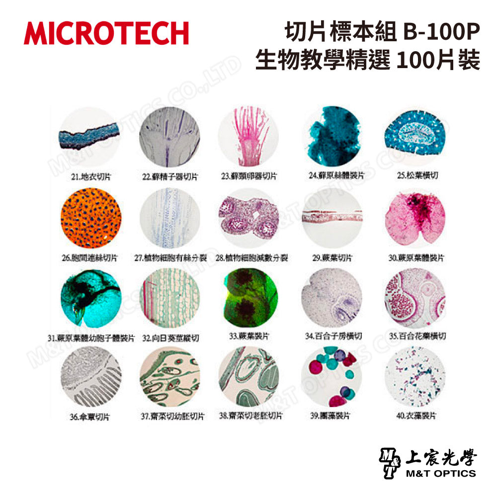 MICROTECH 100 pieces-biological biopsy specimen set-with storage box
