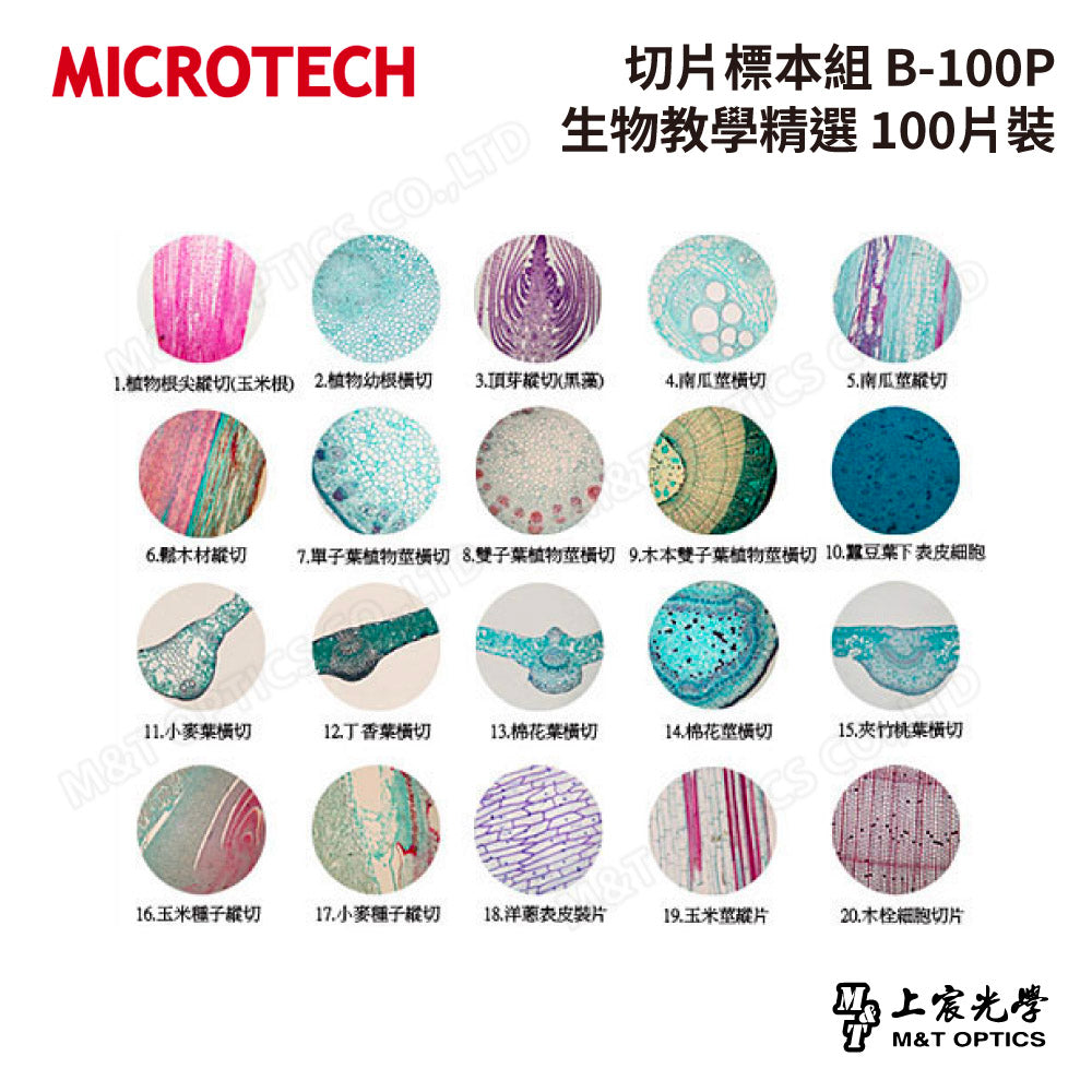 MICROTECH 100 pieces-biological biopsy specimen set-with storage box