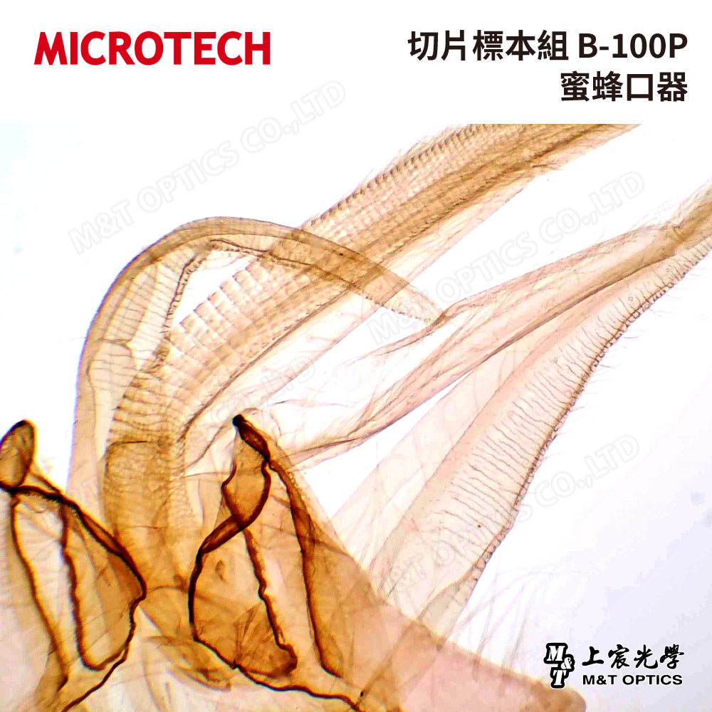 MICROTECH 100 pieces-biological biopsy specimen set-with storage box