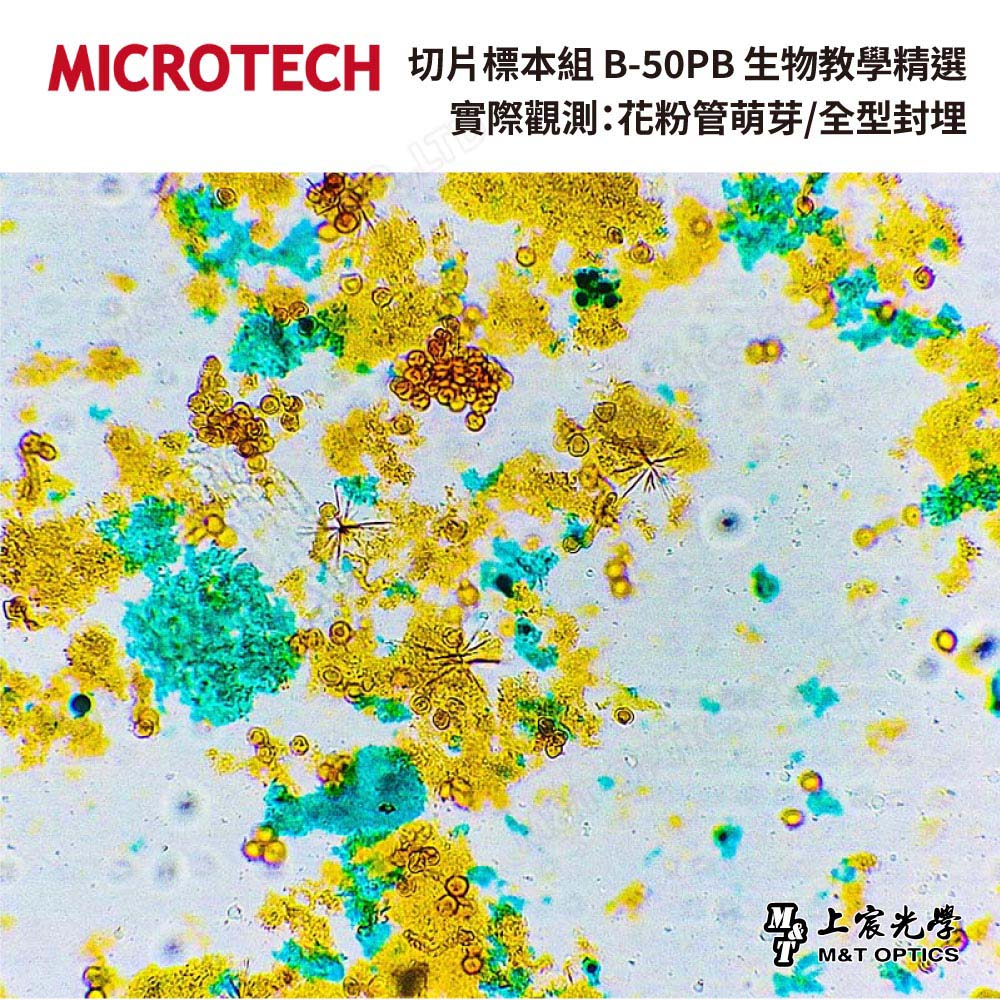 切片標本組 B-50PB 生物教學精選50片裝(中英對照-繁體中文)