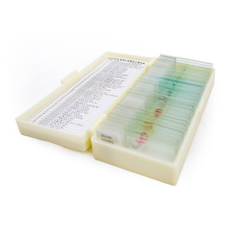 切片標本組 B-50PB 生物教學精選50片裝(中英對照-繁體中文)
