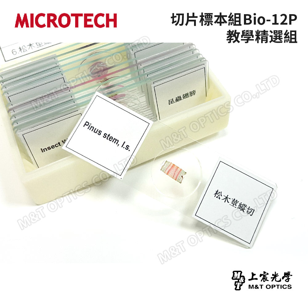 MICROTECH slice storage box (25 slices)