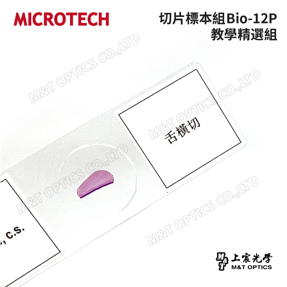 MICROTECH slice storage box (25 slices)