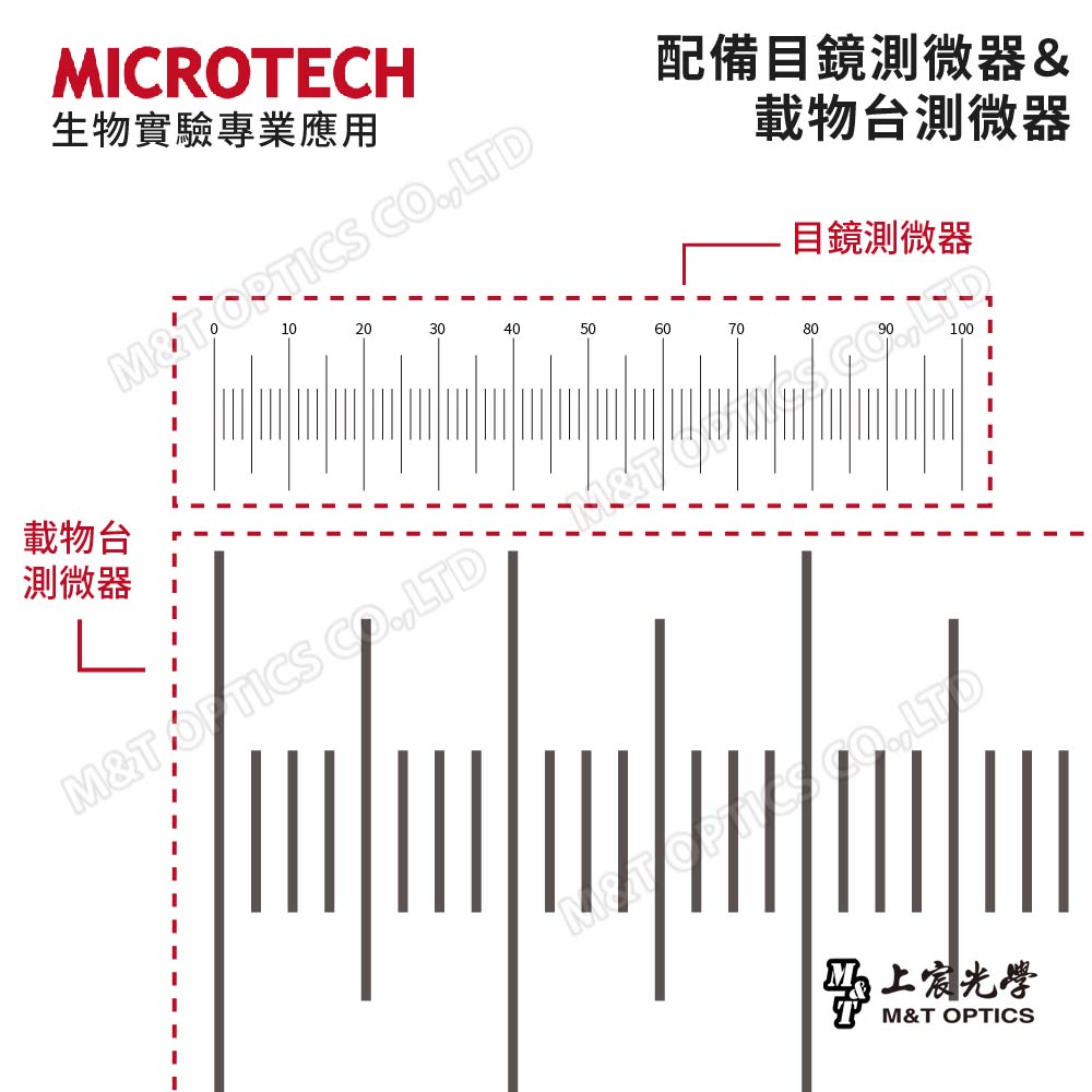 MICROTECH MR24|The latest model in 2024|Up-and-down optical student-type measurement microscope "108 syllabus compulsory biology for the first year of high school"-original one-year warranty