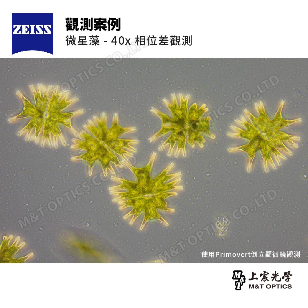 ZEISS Primovert binocular inverted microscope
