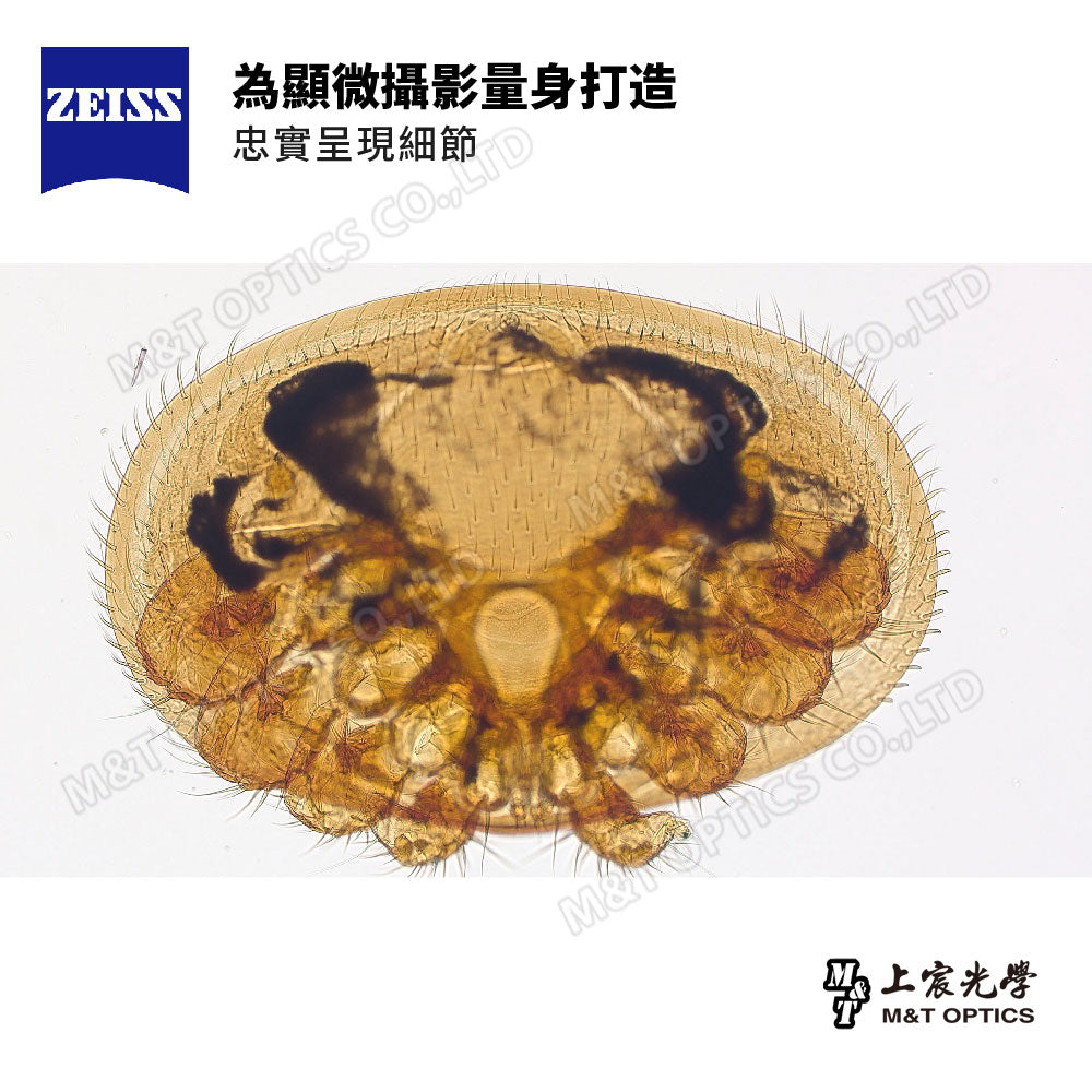 ZEISS Axiolab 5 TL professional grade biological microscope - product of Zeiss Taiwan Company