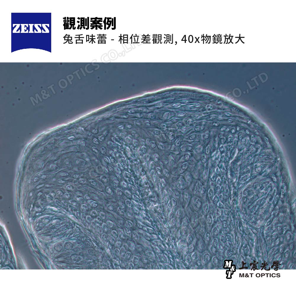 ZEISS Primostar 3 TR PH123 German Zeiss experimental phase contrast binocular biological microscope
