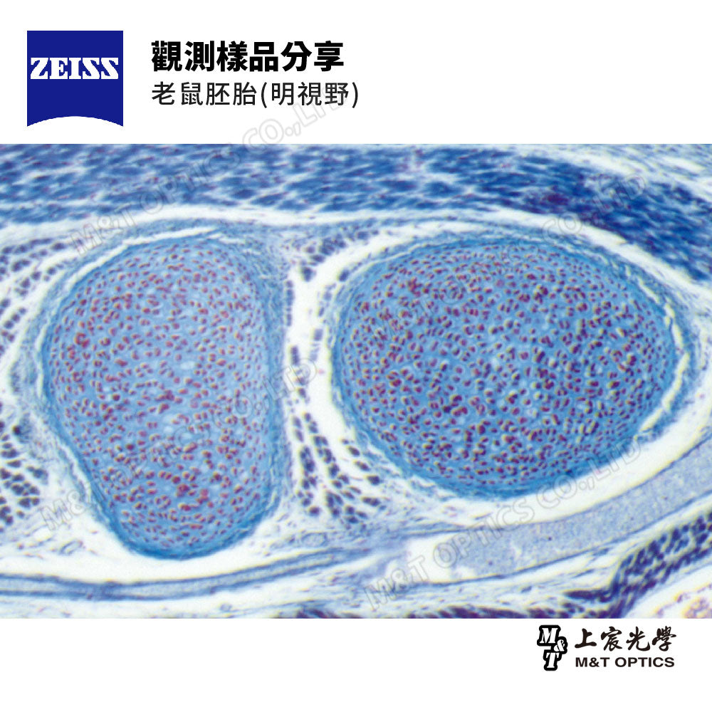 ZEISS SteREO Discovery.V20 Zeiss high-power zoom stereo microscope - original warranty company goods