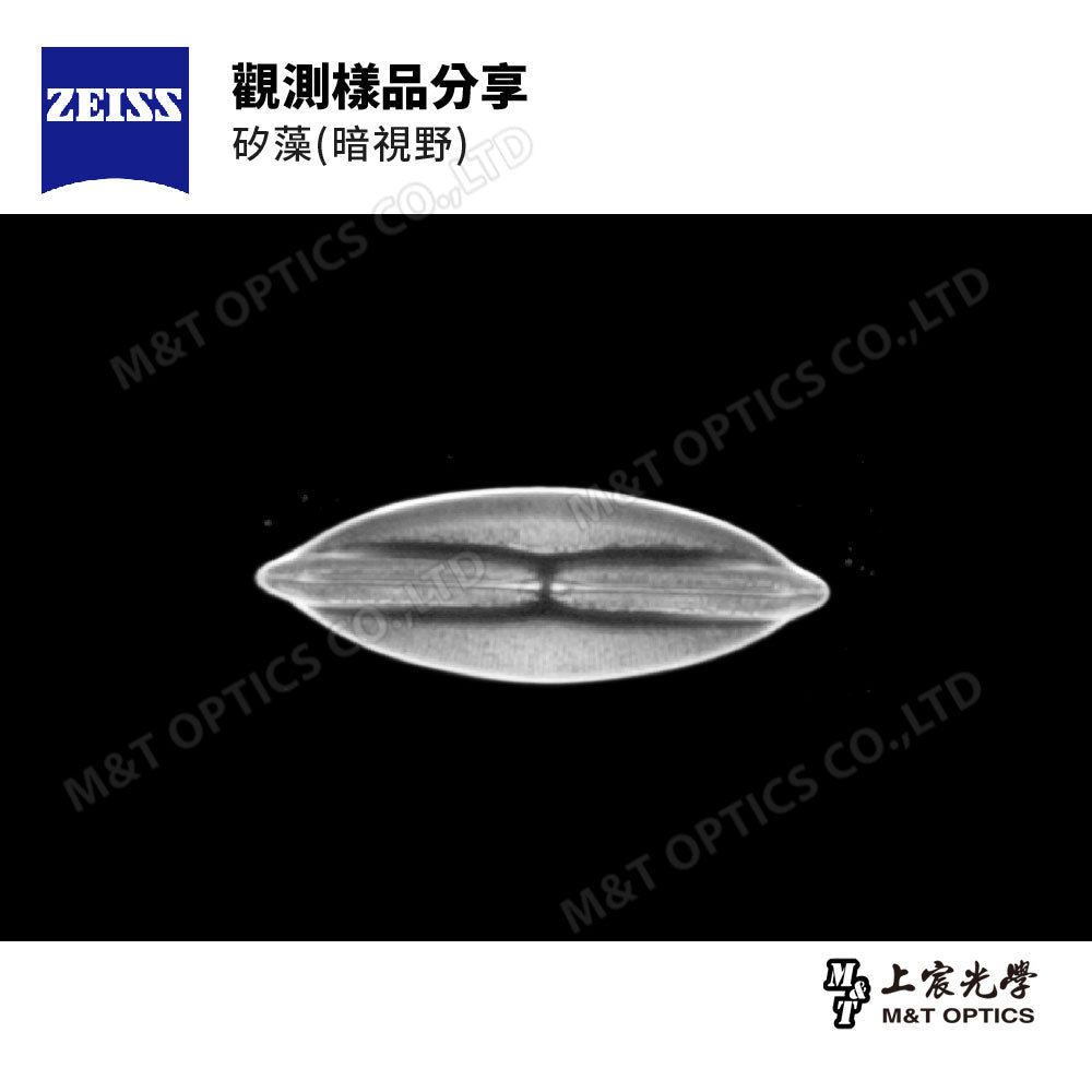 ZEISS SteREO Discovery.V20 Zeiss high-power zoom stereo microscope - original warranty company goods