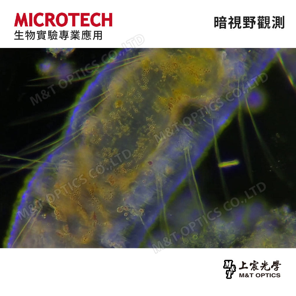 MICROTECH MX600-CT-DF.W+M2 dark field trinocular biological microscope - original factory warranty for one year