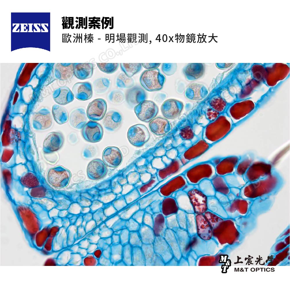 ZEISS Primostar 3 TR U8s Plus digital microscope