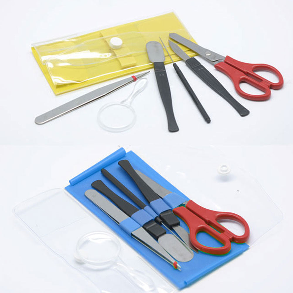 Basic Anatomy Kit - Set of 6