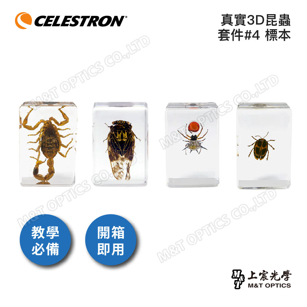 CELESTRON Real 3D Insect Kit Specimens-Shangchen Optical Taiwan General Agent