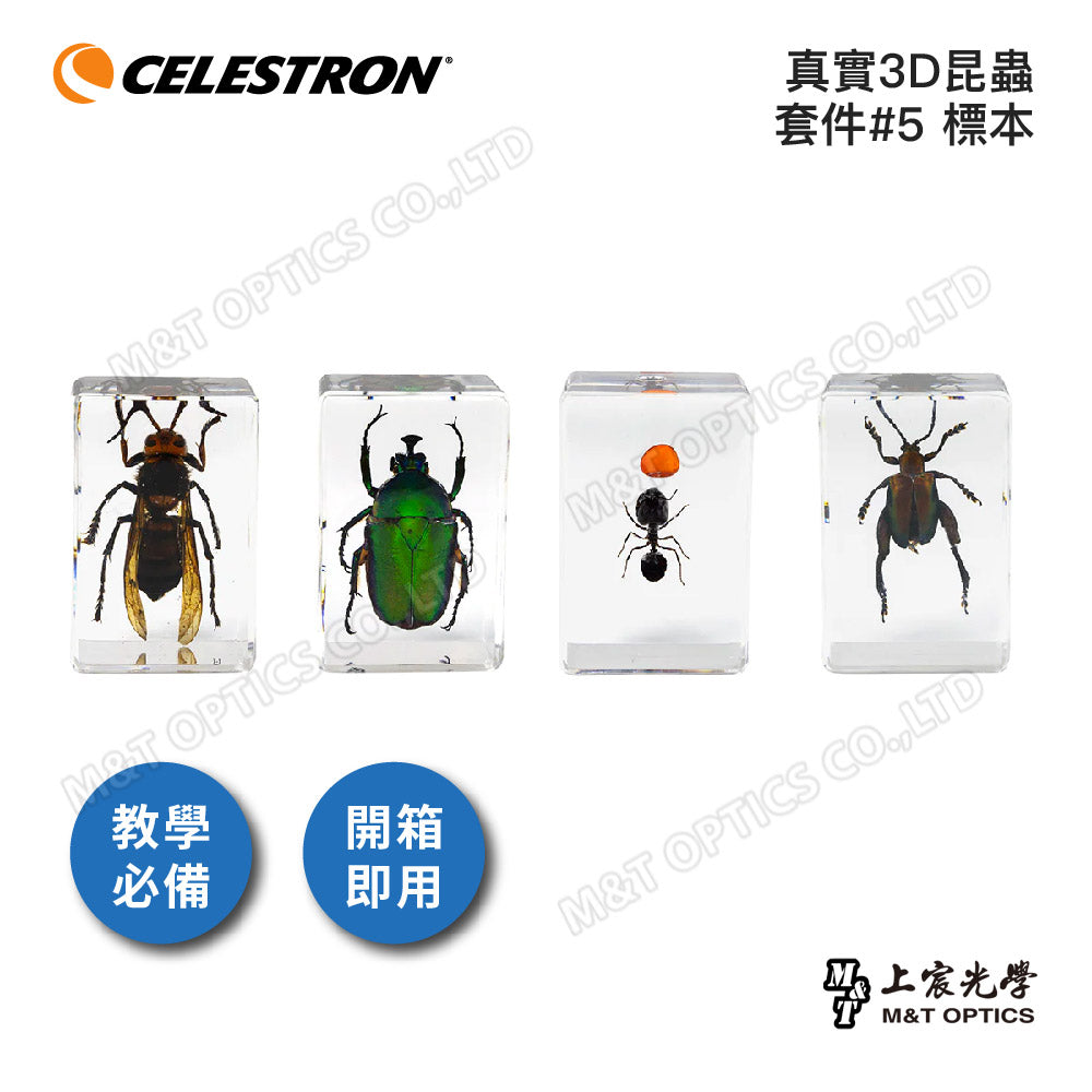 CELESTRON Real 3D Insect Kit Specimens-Shangchen Optical Taiwan General Agent
