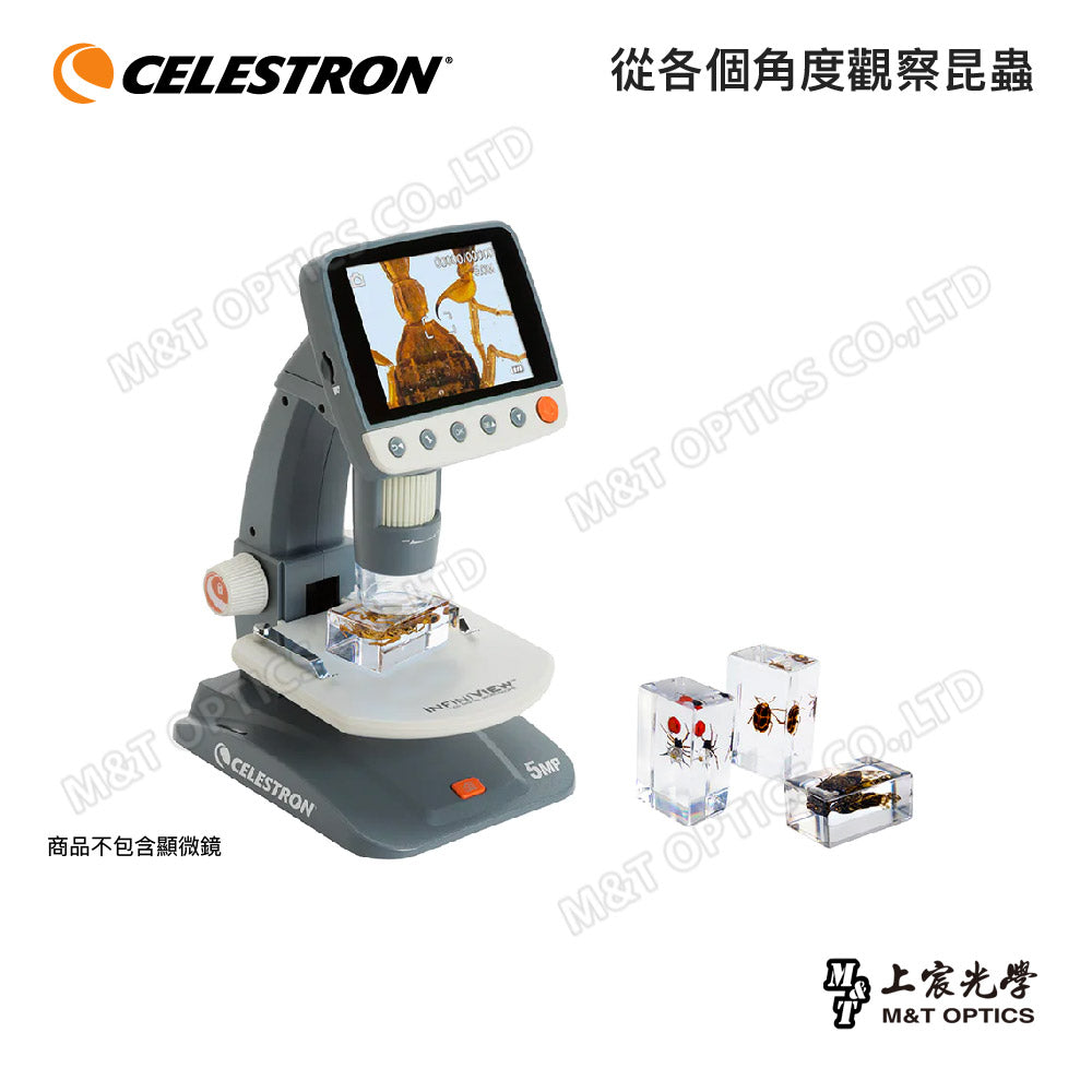 CELESTRON Real 3D Insect Kit Specimens-Shangchen Optical Taiwan General Agent