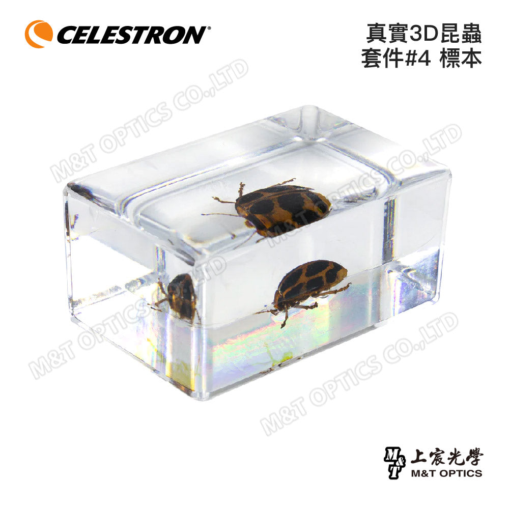 CELESTRON Real 3D Insect Kit Specimens-Shangchen Optical Taiwan General Agent