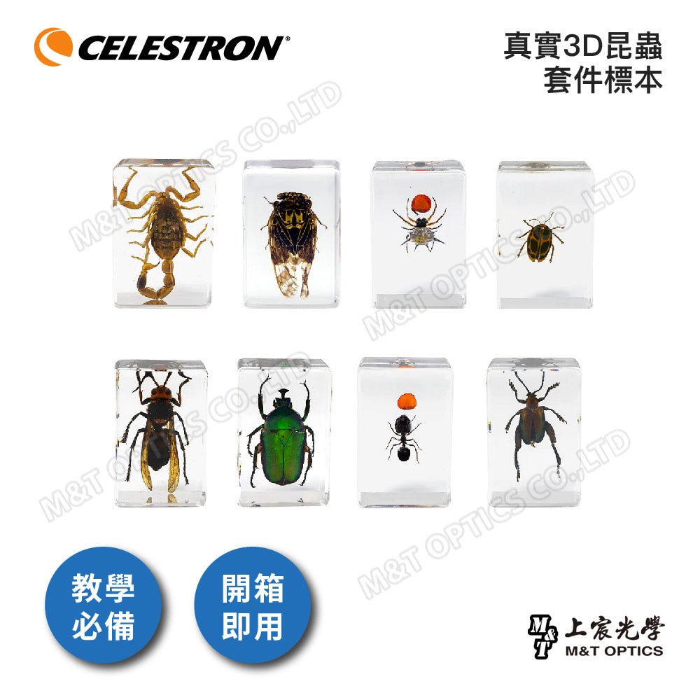 CELESTRON Real 3D Insect Kit Specimens-Shangchen Optical Taiwan General Agent