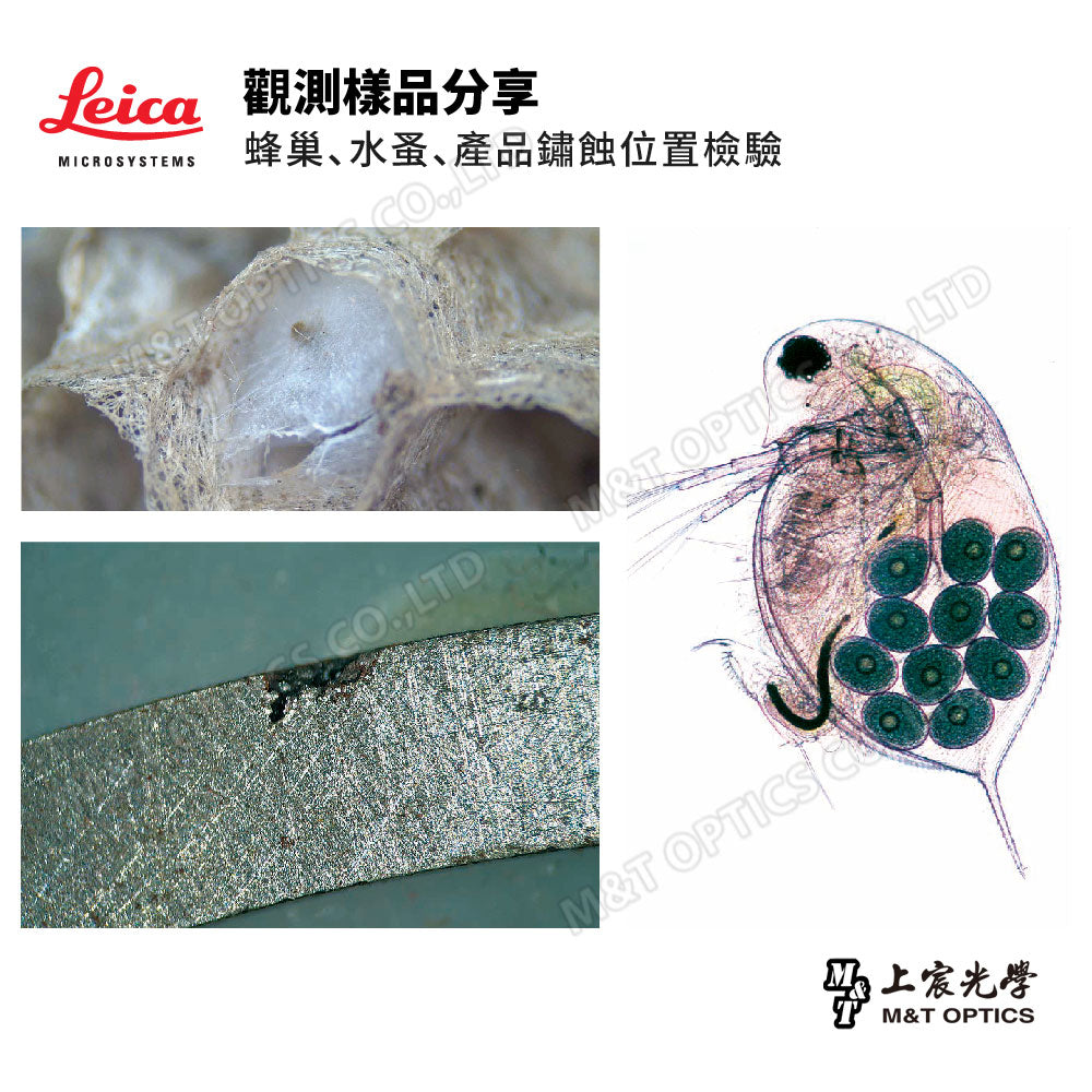 LEICA EZ4 German Leica binocular stereo microscope