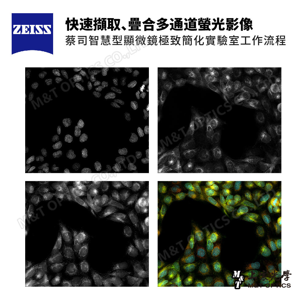 ZEISS Axiovert 5 FL Digital Digital Inverted Microscope - Product of Zeiss Taiwan Company