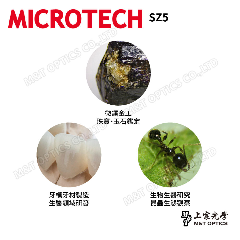 MICROTECH SZ5 binocular stereo (anatomy) microscope-up and down light base combination-original one-year warranty
