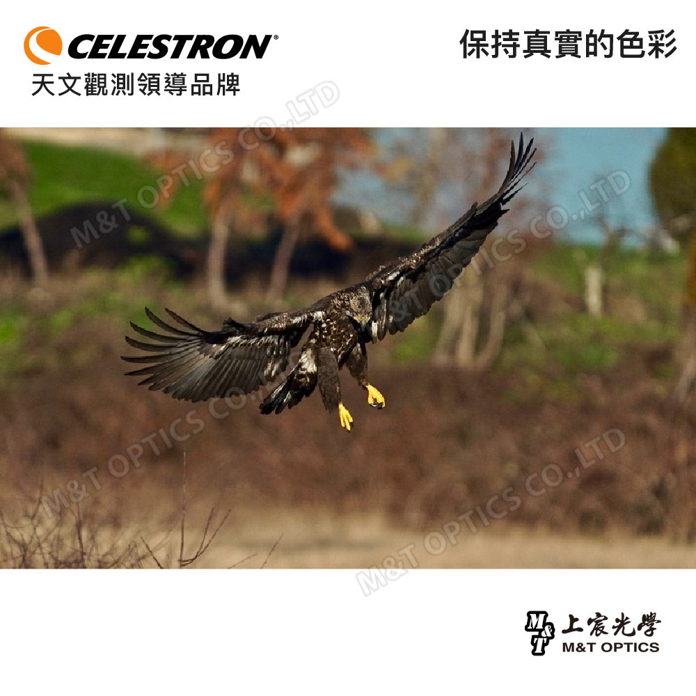 Celestron Outland X 8X25 binoculars/general agent company goods