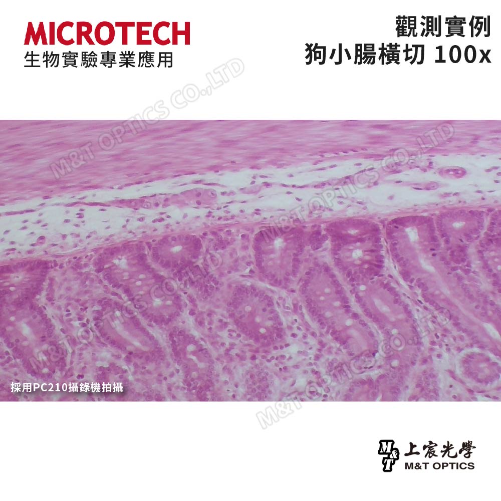 MICROTECH LX130.PAD (Windows interface) digital biological microscope