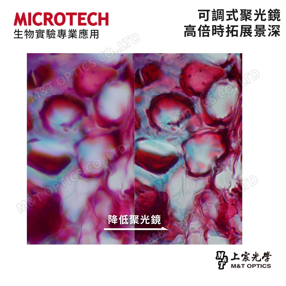 MICROTECH LX100 Biological Microscope - 2500x for scientific education level