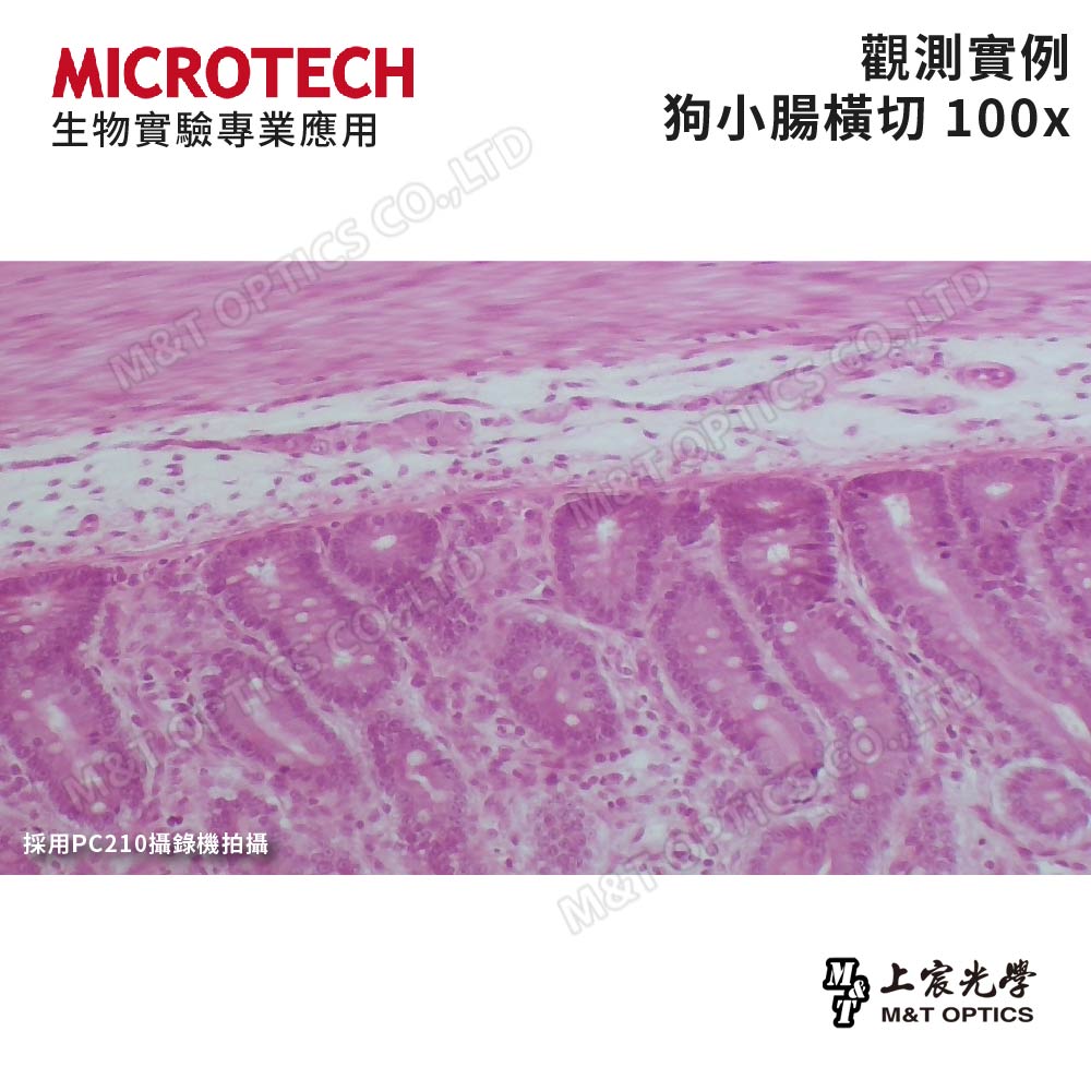 MICROTECH LX100 Biological Microscope - 2500x for scientific education level