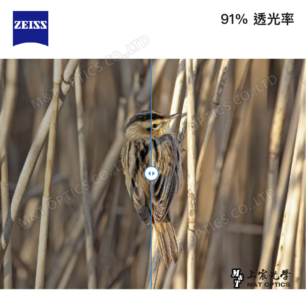 ZEISS Victory Pocket 8X25 雙筒望遠鏡 - 公司貨保固