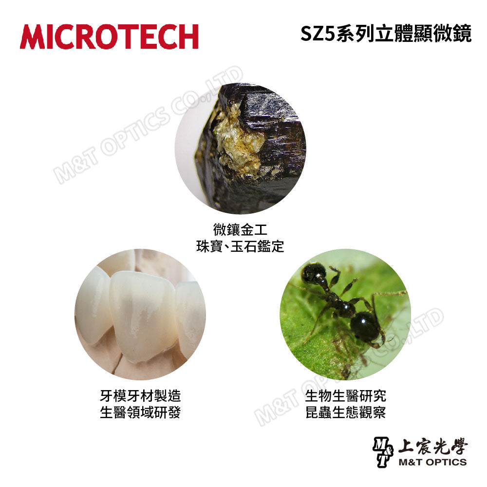 MICROTECH SZ5T.588 WiFi wireless microphotography multifunctional digital stereo (anatomy) microscope - top and bottom light base combination