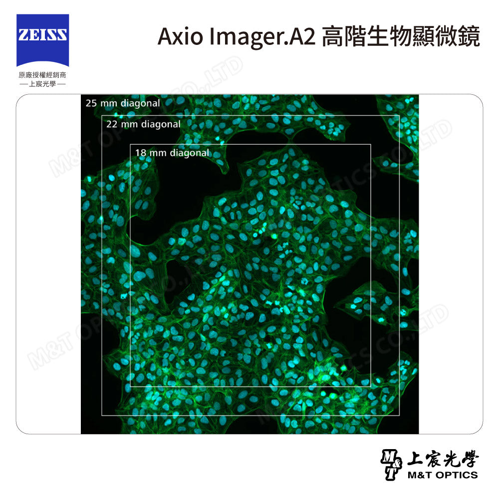 ZEISS 蔡司 Axio Imager.A2 高階生物顯微鏡(台灣公司貨保固)