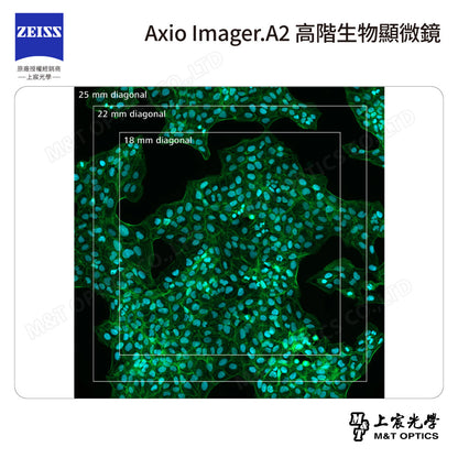 ZEISS 蔡司 Axio Imager.A2 高階生物顯微鏡(台灣公司貨保固)