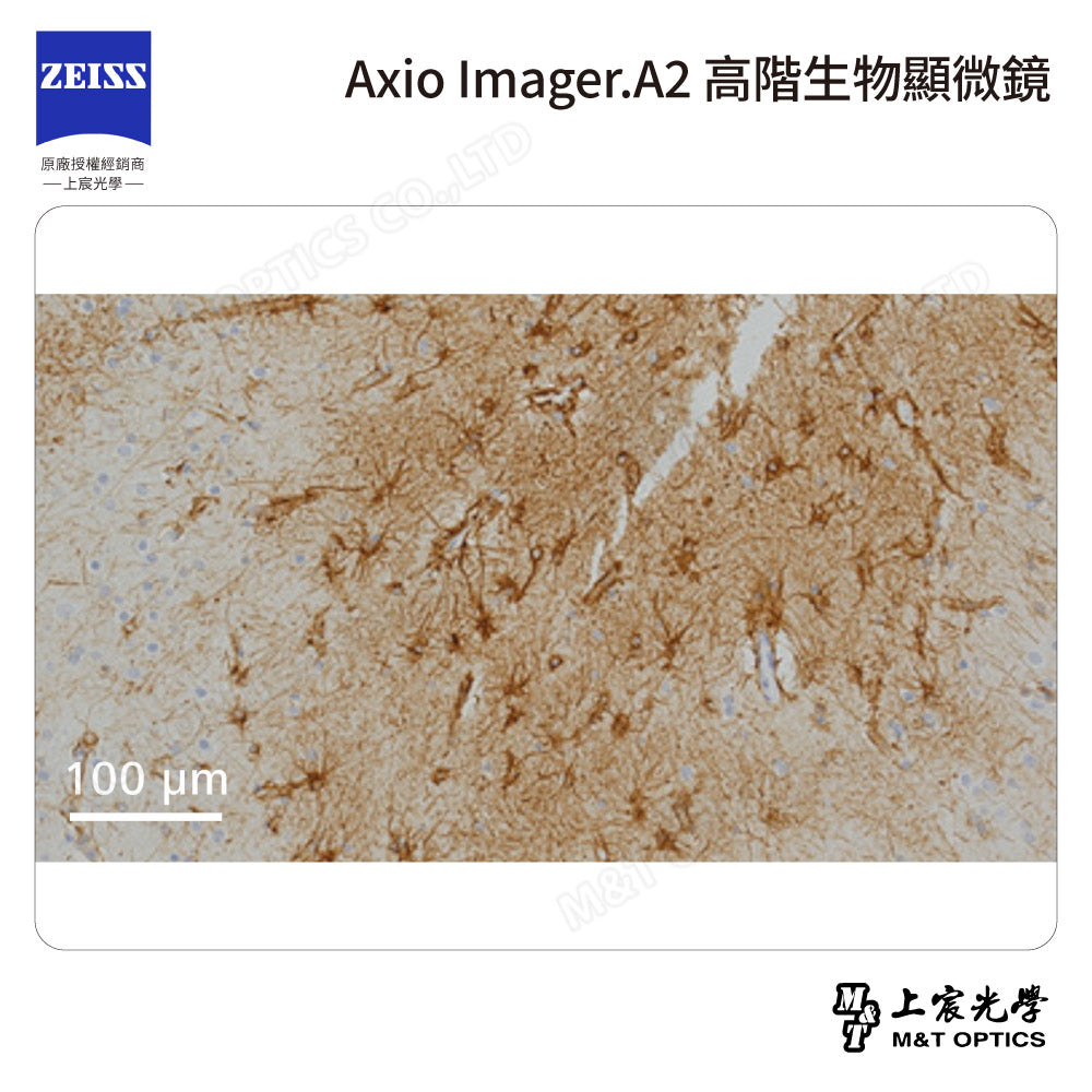 ZEISS 蔡司 Axio Imager.A2 高階生物顯微鏡(台灣公司貨保固)