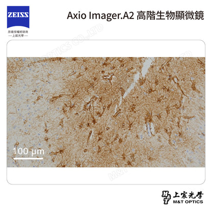 ZEISS 蔡司 Axio Imager.A2 高階生物顯微鏡(台灣公司貨保固)