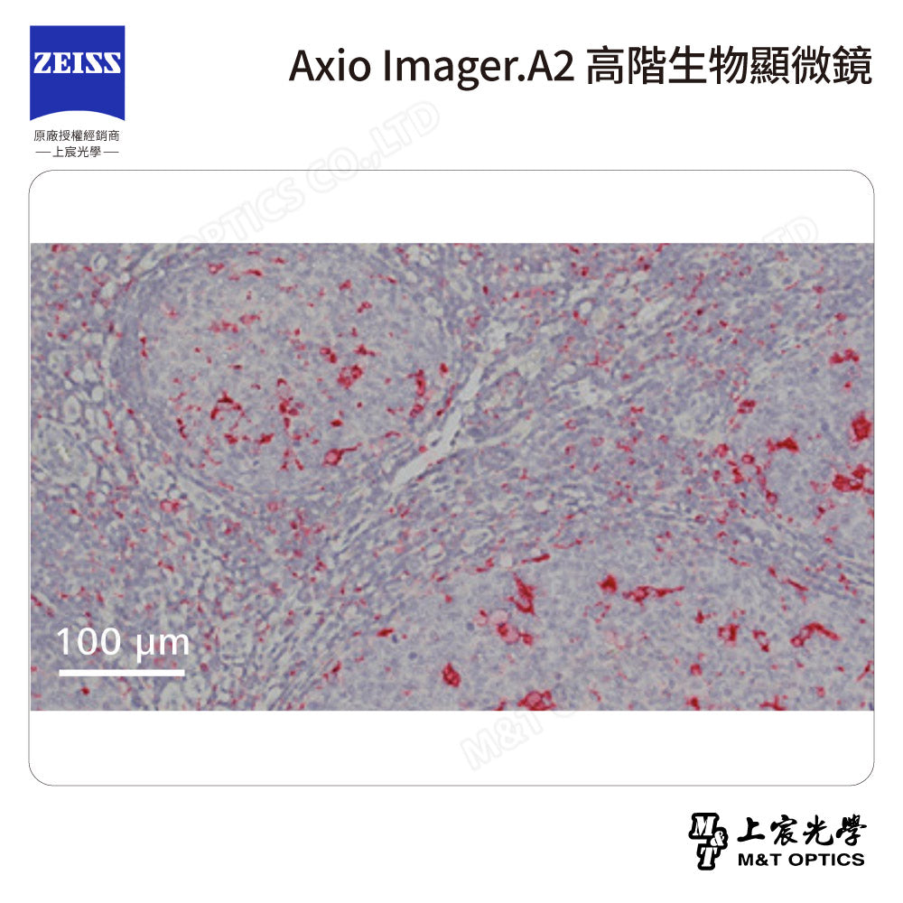 ZEISS 蔡司 Axio Imager.A2 高階生物顯微鏡(台灣公司貨保固)