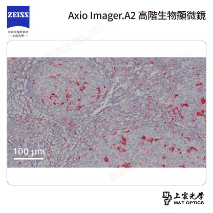 ZEISS 蔡司 Axio Imager.A2 高階生物顯微鏡(台灣公司貨保固)