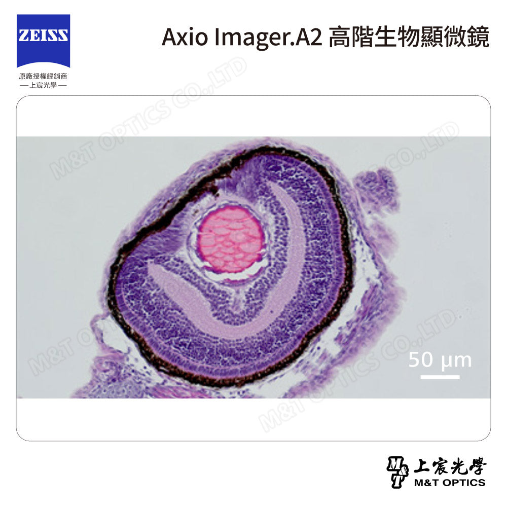 ZEISS 蔡司 Axio Imager.A2 高階生物顯微鏡(台灣公司貨保固)
