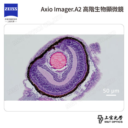 ZEISS 蔡司 Axio Imager.A2 高階生物顯微鏡(台灣公司貨保固)