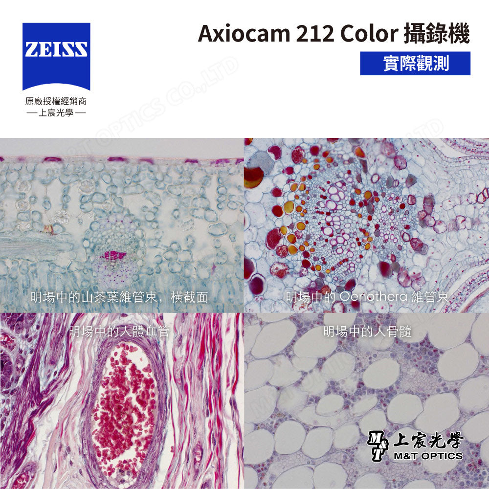 ZEISS 蔡司 Axiocam 212 color 蔡司彩色顯微攝影系統 (公司貨)
