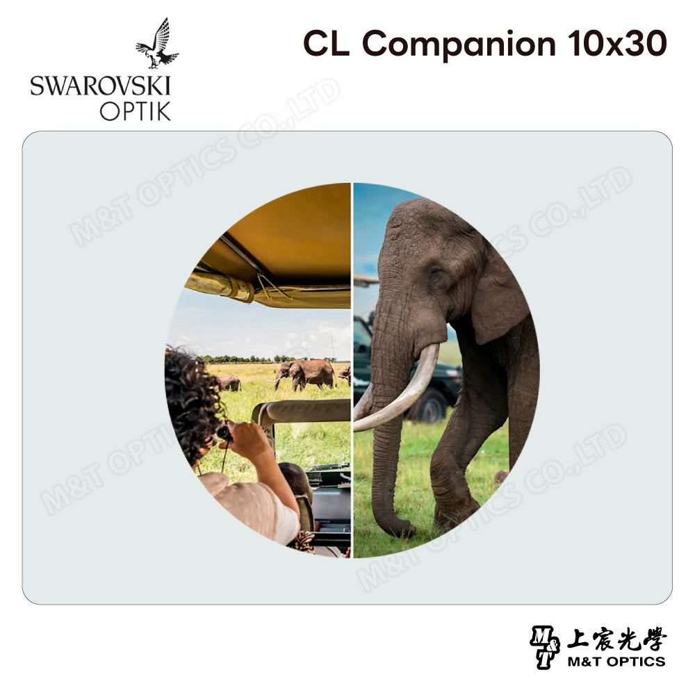 SWAROVSKI CL Companion 10x30 沙漠橘雙筒望遠鏡 (台灣代理公司貨)