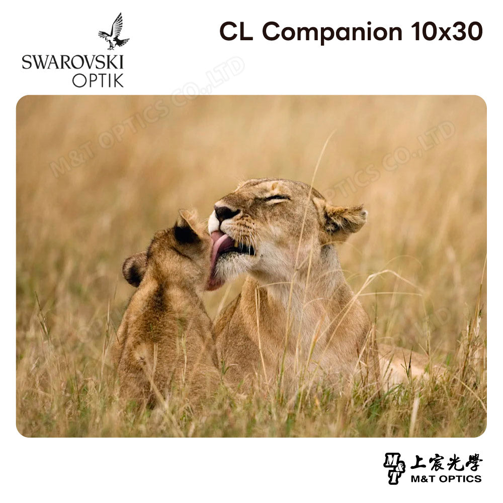 SWAROVSKI CL Companion 10x30 高山綠雙筒望遠鏡 (台灣代理公司貨)