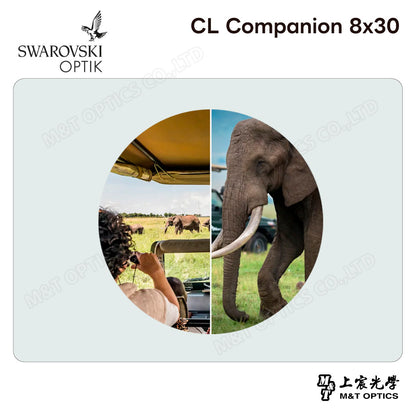 SWAROVSKI CL Companion 8x30 沙漠橘雙筒望遠鏡 (台灣代理公司貨)