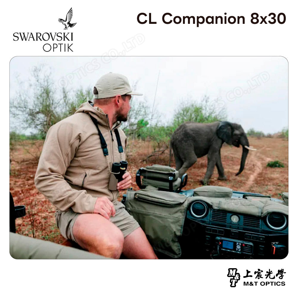 SWAROVSKI CL Companion 8x30 高山綠雙筒望遠鏡 (台灣代理公司貨)