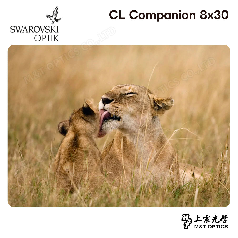 SWAROVSKI CL Companion 8x30 沙漠橘雙筒望遠鏡 (台灣代理公司貨)