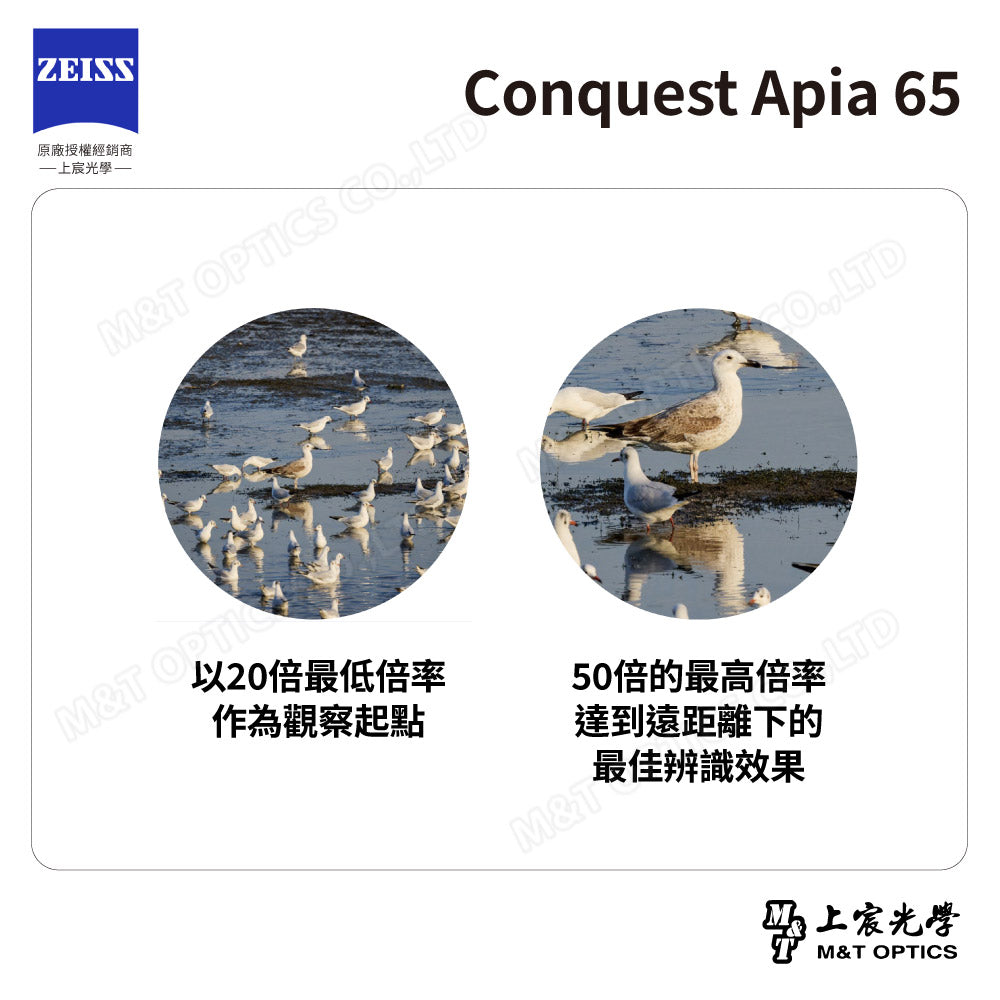 ZEISS 蔡司 Conquest Apia 65 單筒望遠鏡 (台灣總代理公司貨)