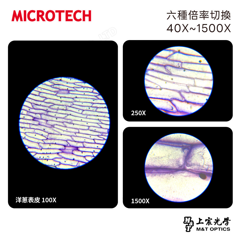 MICROTECH D1500 multifunctional student microscope