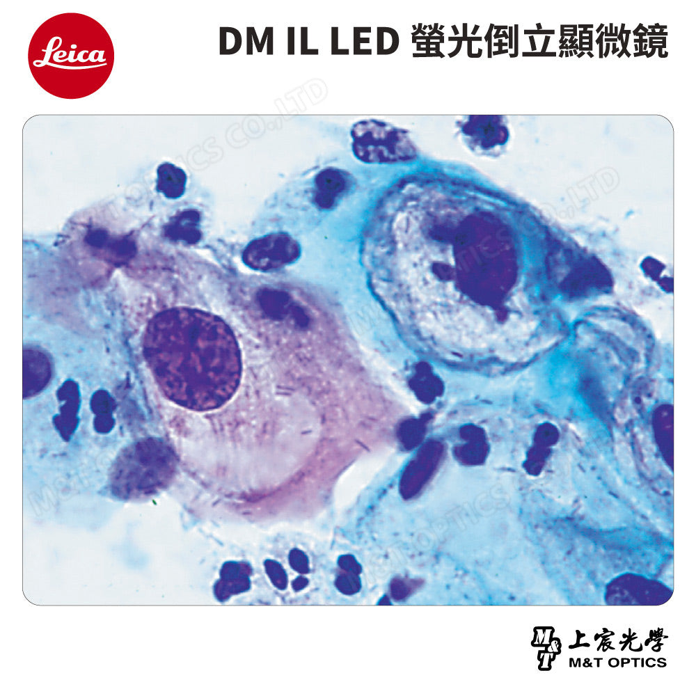 LEICA DM IL LED 螢光倒立顯微鏡